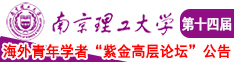 黄片儿入口南京理工大学第十四届海外青年学者紫金论坛诚邀海内外英才！